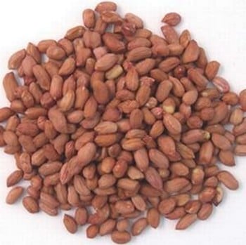 Premium Peanuts for Wild Birds