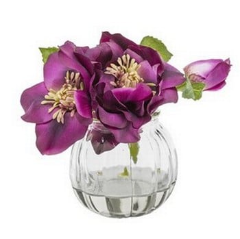 Purple Christmas Rose in Small Vase by Sia