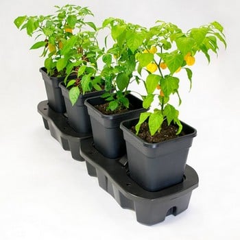 Quadgrow - Self Watering Planter