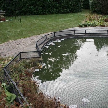 Raised Steel Pond Cover Large Irregular - Bespoke Product