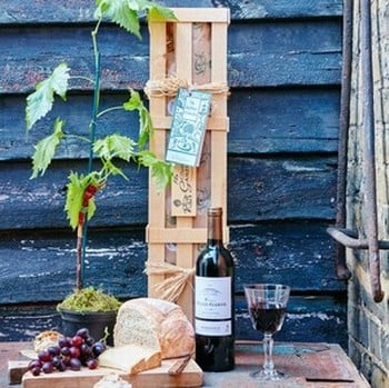 Red Wine and Vine Gardeners Gift Set