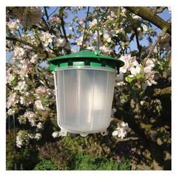 Replacement Lure - Plum Fruit Moth Trap