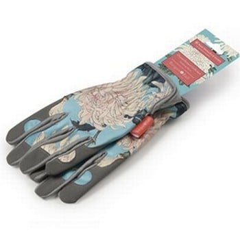 RHS Chrysanthemum Gloves