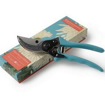 RHS Chrysanthemum Secateurs