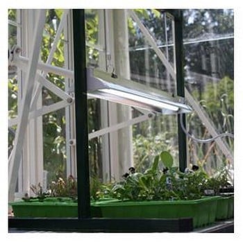 Jump start t5 sales grow light system