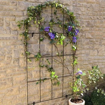 Round Topped Wall Trellis Panel