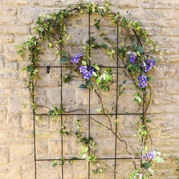 Round Topped Wall Trellis Panel