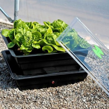 Salad and Veg Planter