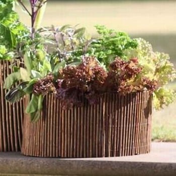 Salad & Herb Planter & Willow Surround