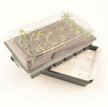 Seed Starter Self Watering Propagation Kit