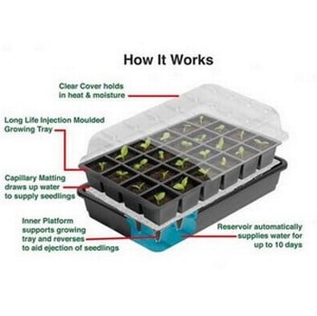 Seed Starter Self Watering Propagation Kit