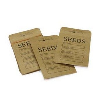 Seed Storage Envelopes (20 pack)
