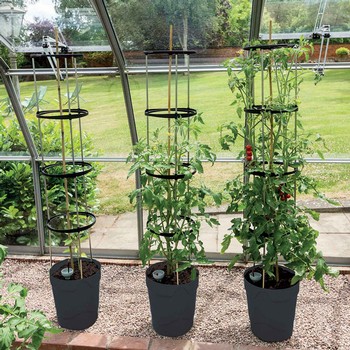 https://www.harrodhorticultural.com/cache/product/350/350/self-watering-grow-pot-tower-2019117161.jpg