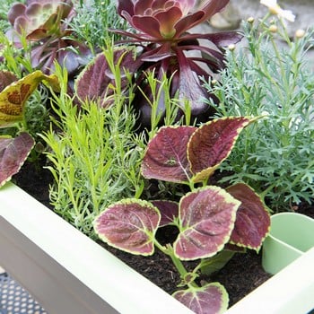 Self Watering Grow Table