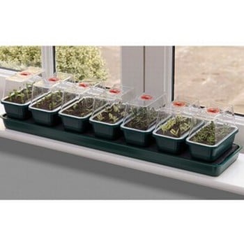 Self-Watering Super 7 Propagator