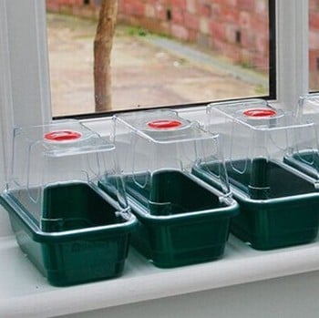 Self-Watering Super 7 Propagator