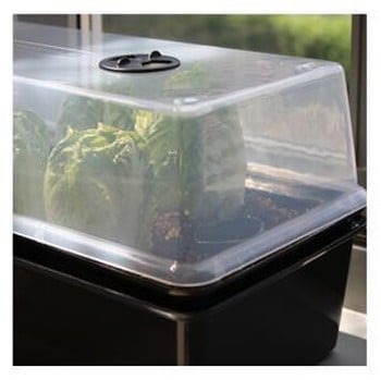 Self Watering Windowsill Propagator Self Watering Windowsill Propagator