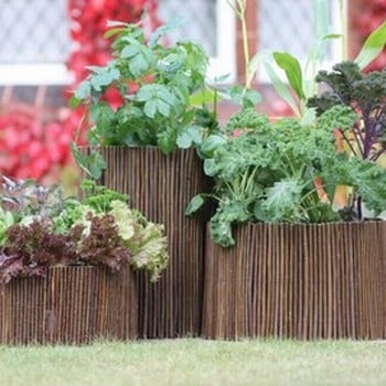 Set of 3 Round Planters with Willow Surrounds Set of 3 Round Planters with Willow Surrounds