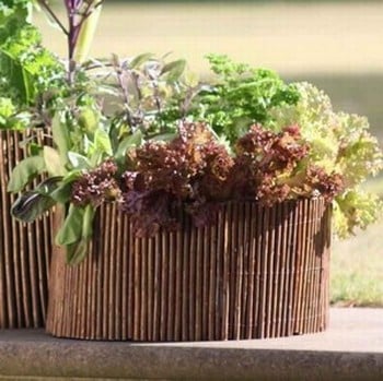 Set of 3 Round Planters with Willow Surrounds Set of 3 Round Planters with Willow Surrounds