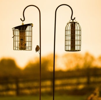 Shepherd's Crook Rust Finish Hanging Hooks - 5 Pack Shepherd's Crook Rust Finish Hanging Hooks - 5 Pack