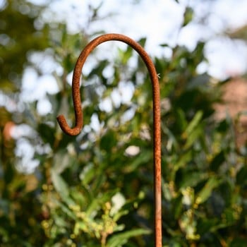 Shepherd's Crook - Rust Seconds - Special Offer