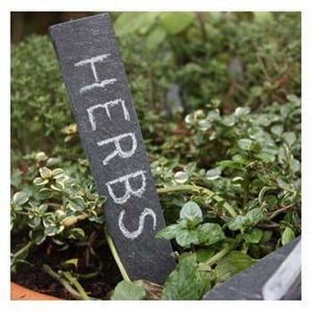 Slate Markers and Engraver