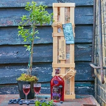 Sloe Gin Gardeners Gift Set