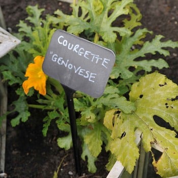 Plant Labels - Garden Supplies by Harrod Horticultural