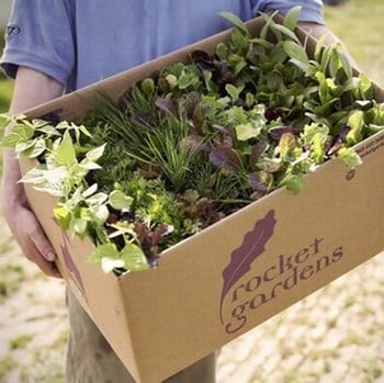 Small Vegetable Garden Gift Voucher
