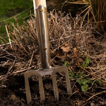 Sneeboer Border Fork 4t with D-handle