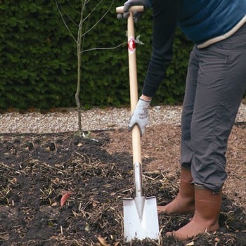 Sneeboer Border Spade