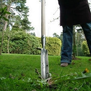 Sneeboer Dandelion Spade