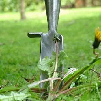 Sneeboer Dandelion Spade