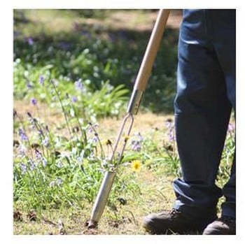 Sneeboer Dandelion Weeder/Bulb Planter