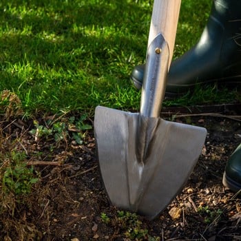 Sneeboer Pointed Spade with D-handle