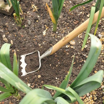 Sneeboer Royal Dutch Hoe Sneeboer Royal Dutch Hoe