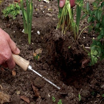 Sneeboer Tough Weeder (Wrotter)