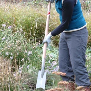 Sneeboer Transplanting Spade