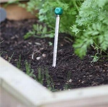 Soil Thermometer