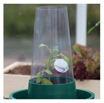 Solar Cloches