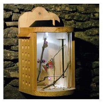 Insect solar sale lights