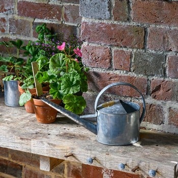 Sophie Conran Greenhouse & Indoor Watering Cans