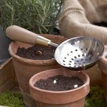 Sophie Conran Potting Sieve