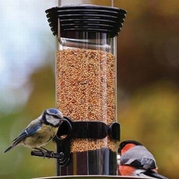 Special Bird Feeder & Food Offer