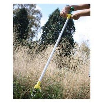 Speedy Weedy Speedy Weedy