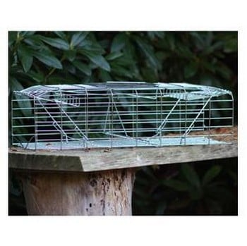 Squirrel Trap