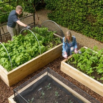 Wooden Raised Beds Garden Supplies At Harrod Horticultural