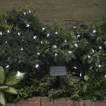Star Lights 100 White LED's