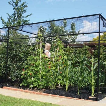 Steel Vegetable Cage with Butterfly Net (2m H) Steel Vegetable Cage with Butterfly Net (2m H)