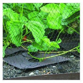 Strawberry Mulch Mats (Pack of 10)